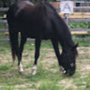 Meet your Posher, Kyla